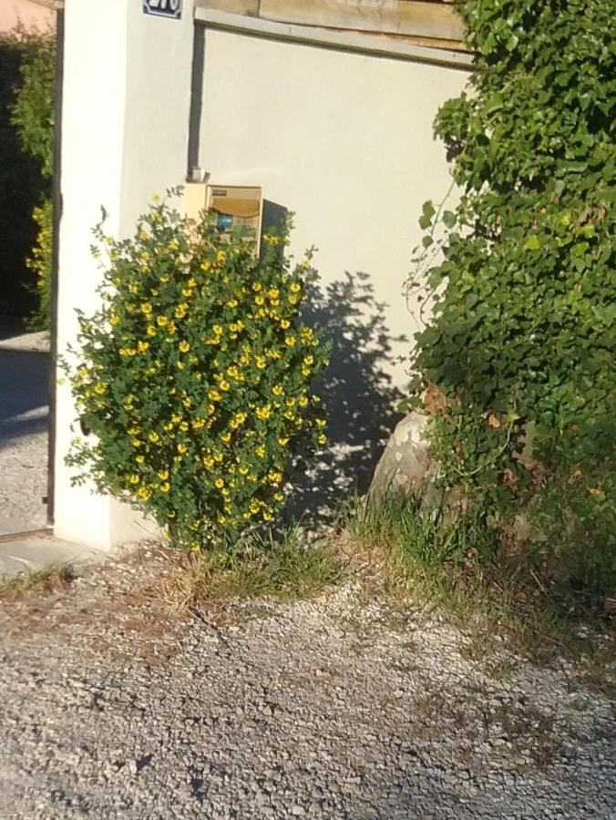 Une Chambre En Ville LʼIsle-sur-la-Sorgue Esterno foto