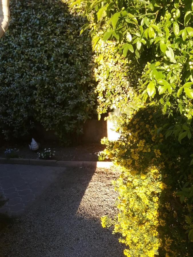 Une Chambre En Ville LʼIsle-sur-la-Sorgue Esterno foto